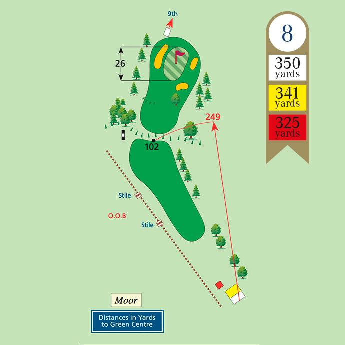 Hole 8
